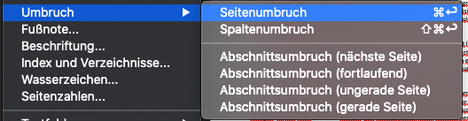 Einfügen eines Seiten- oder Abschnittsumbruchs in MS Word